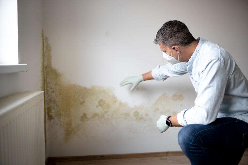 dealing with mould water damage in home