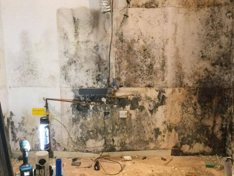mould water damage