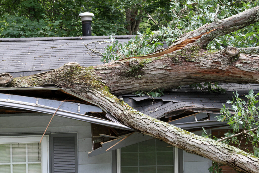 Fallen tree causing storm damage. Act of god insurance